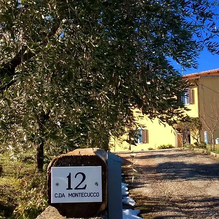 Casa Miyo *