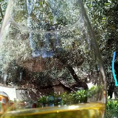 Casa Miyo Διαμέρισμα Carassai